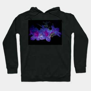 Cosmic flowers Hoodie